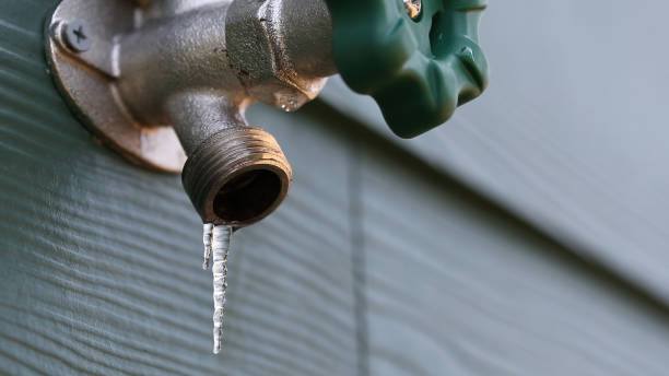Best Clogged Drain Plumber  in Coplay, PA